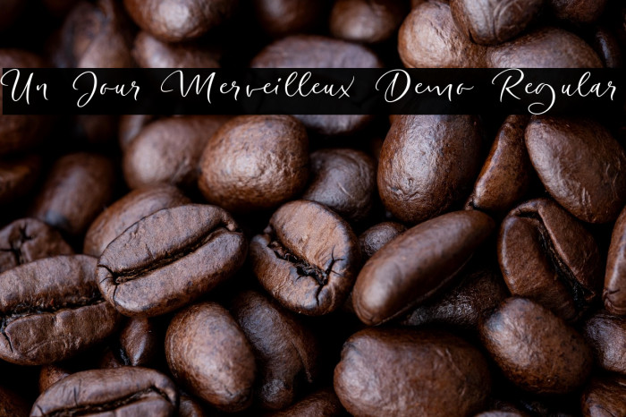 Un Jour Merveilleux Demo Regular Example 2