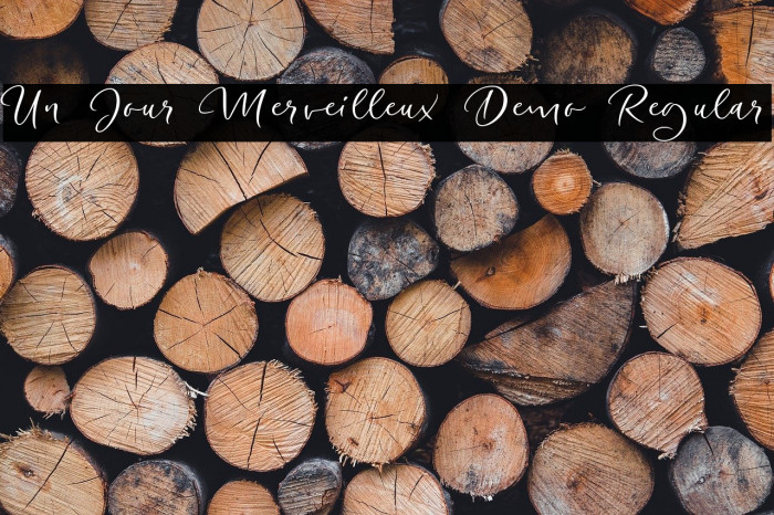 Un Jour Merveilleux Demo Regular Example 3