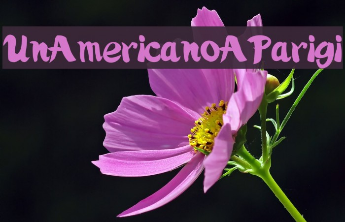 UnAmericanoAParigi Example 1