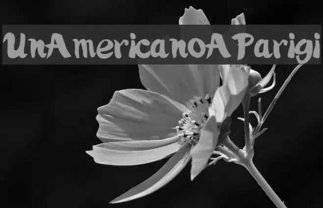 UnAmericanoAParigi Font examples