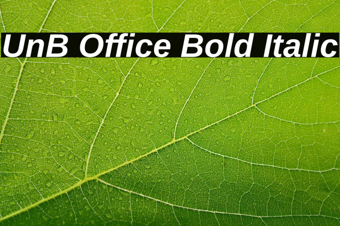 UnB Office Bold Italic Example 1