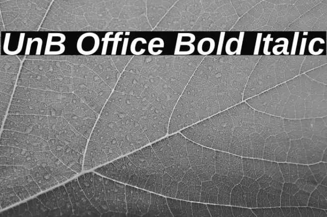 UnB Office Bold Italic फ़ॉन्ट examples