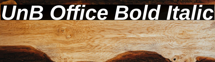 UnB Office Bold Italic Example 2