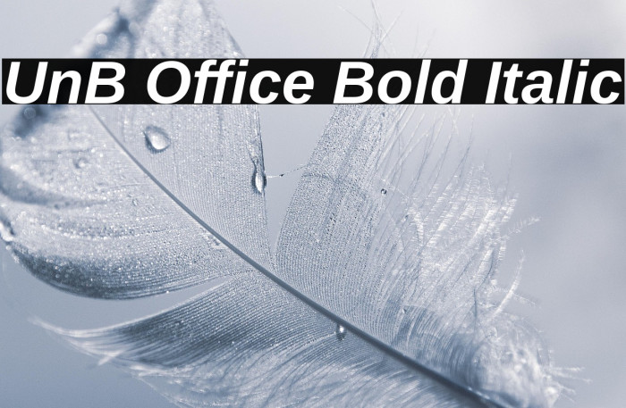 UnB Office Bold Italic Example 3