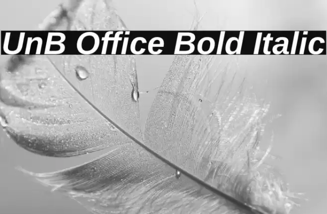 UnB Office Bold Italic फ़ॉन्ट examples