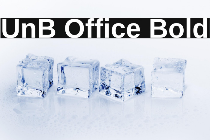 UnB Office Bold Example 3