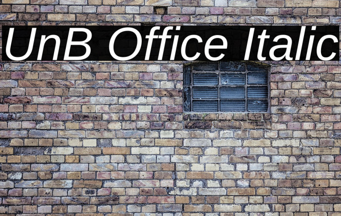 UnB Office Italic Example 1