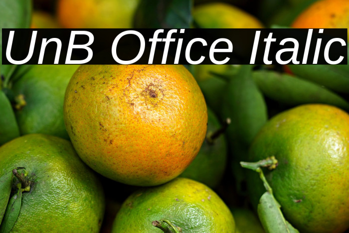 UnB Office Italic Example 2
