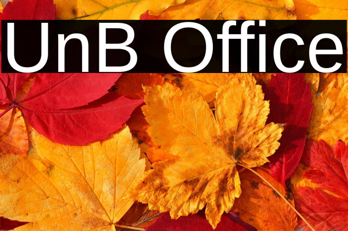 UnB Office Example 1