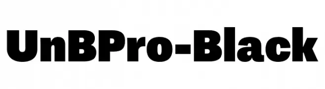 UnBPro-Black  Free Fonts Download