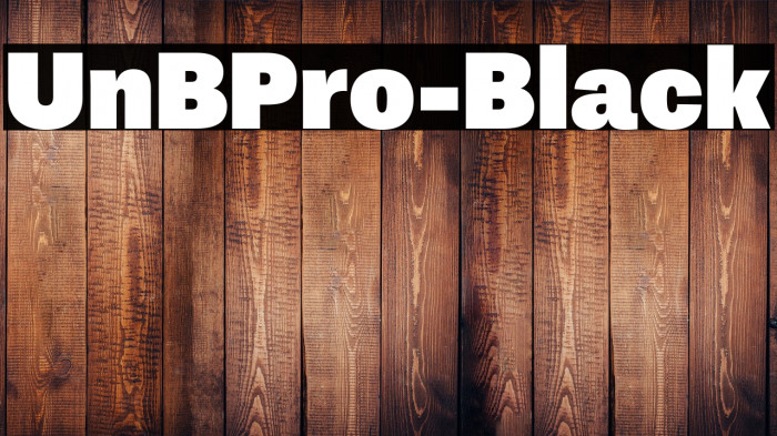 UnBPro-Black Example 1