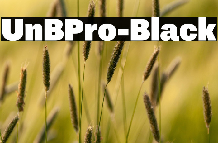 UnBPro-Black Example 2