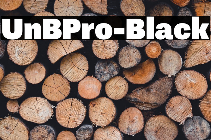 UnBPro-Black Example 3
