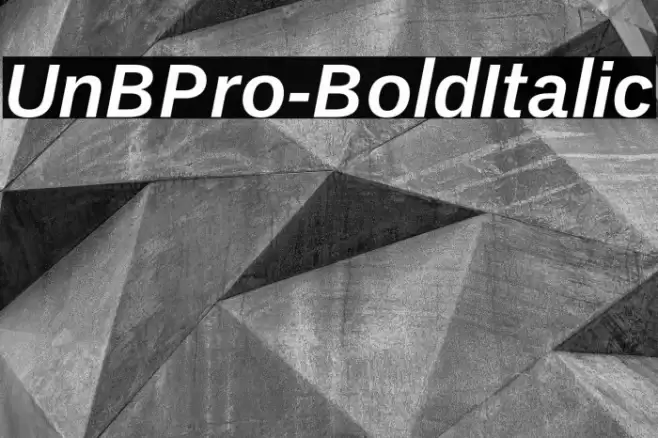 UnBPro-BoldItalic Font examples