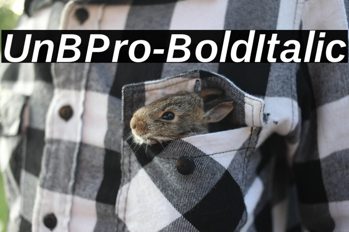 UnBPro-BoldItalic Example 2