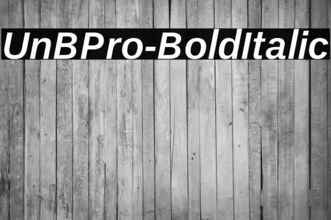 UnBPro-BoldItalic Font examples