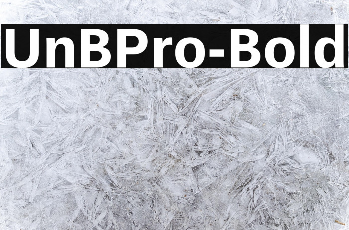 UnBPro-Bold Example 1