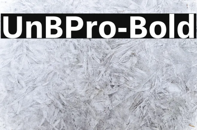 UnBPro-Bold Example 1