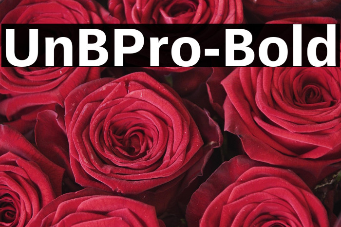 UnBPro-Bold Example 2