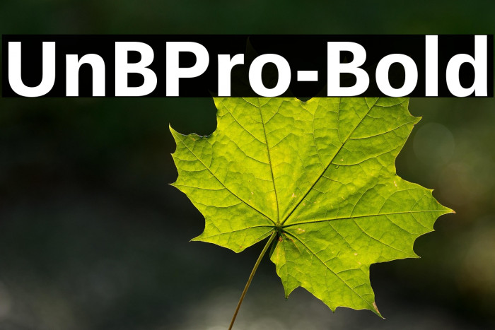 UnBPro-Bold Example 3