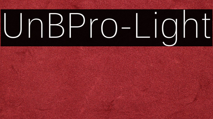 UnBPro-Light Example 1