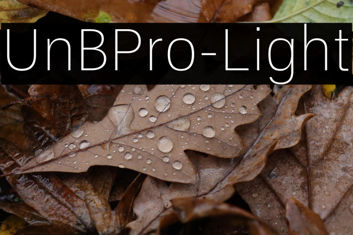 UnBPro-Light Example 2
