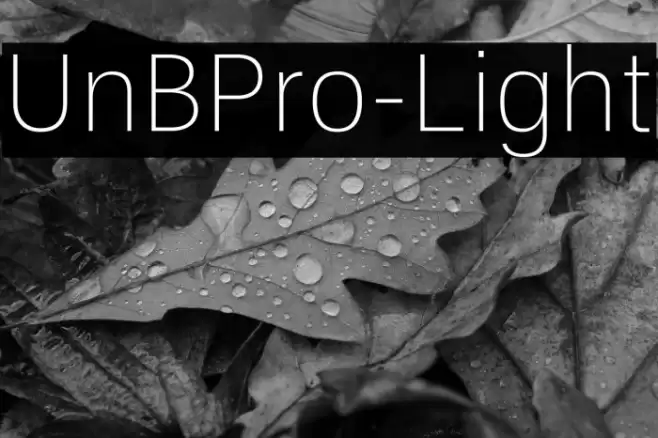 UnBPro-Light फ़ॉन्ट examples