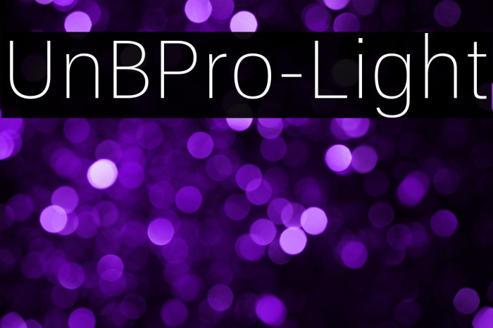 UnBPro-Light Example 3