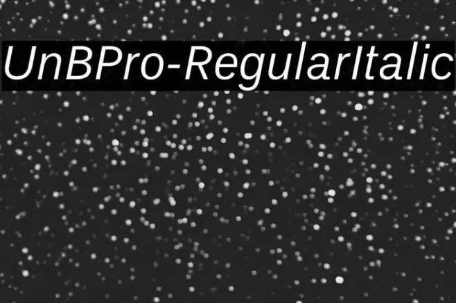 UnBPro-RegularItalic फ़ॉन्ट examples