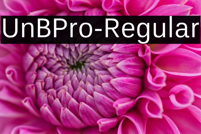 UnBPro-Regular Example 2