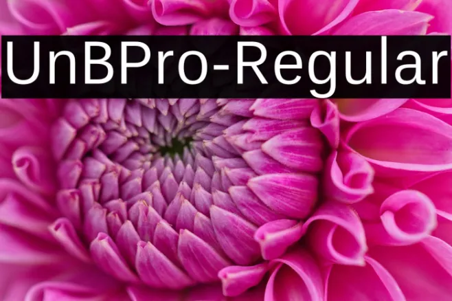 UnBPro-Regular Example 2