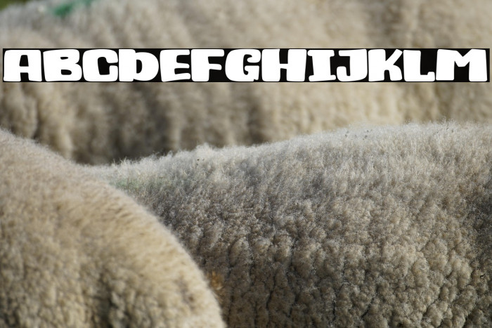 Una Casita En Canadá Example 1