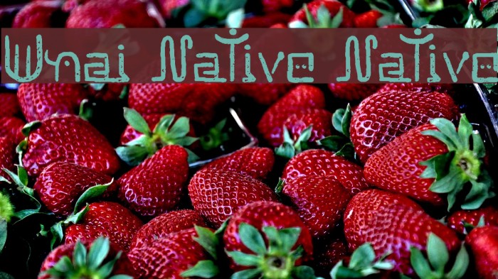 Unai Native Native Font examples