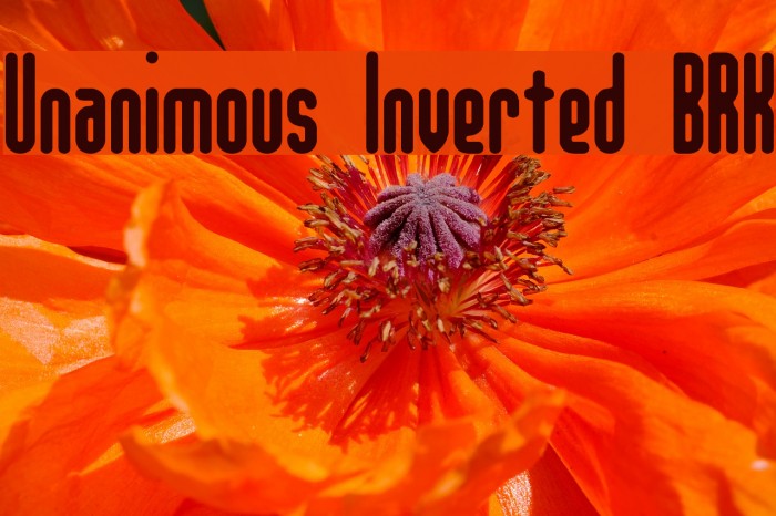 Unanimous Inverted BRK Font examples