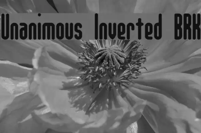 Unanimous Inverted BRK Font examples