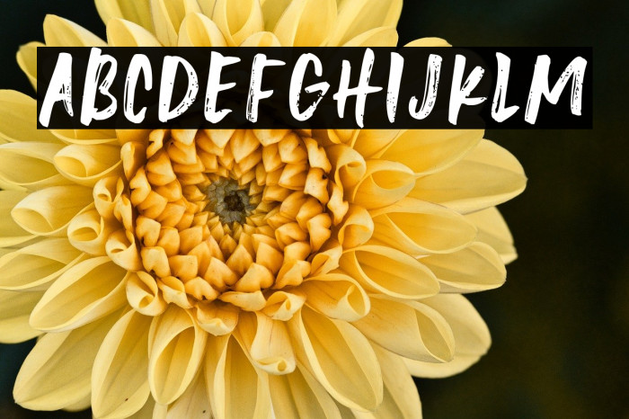 Unashamed Demo Regular Example 1