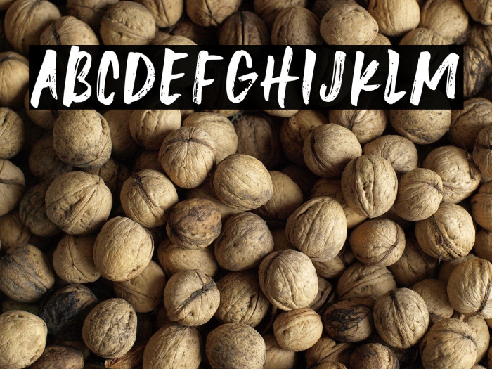 Unashamed Demo Regular Example 3