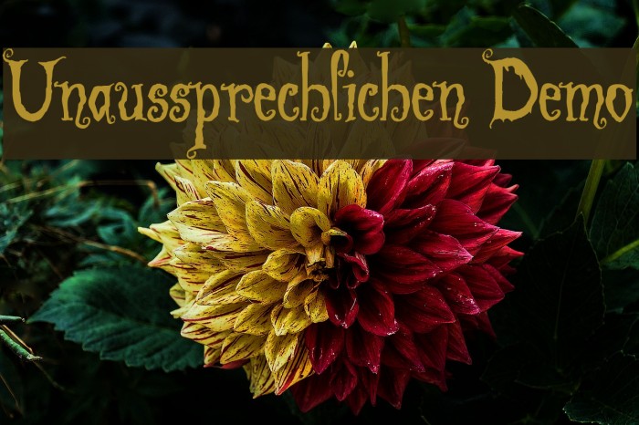 Unaussprechlichen Demo Font examples