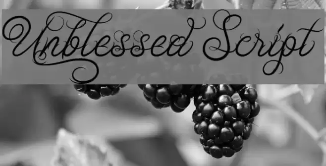 Unblessed Script Font examples