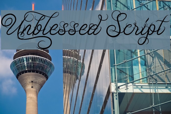 Unblessed Script Font examples