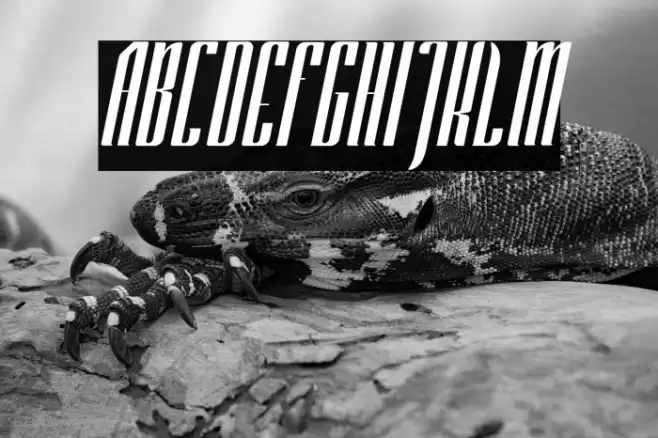 Unbockend Font examples