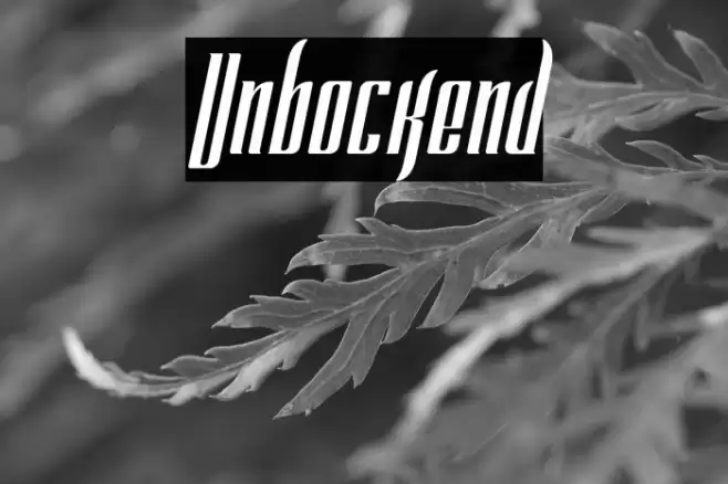Unbockend Font examples