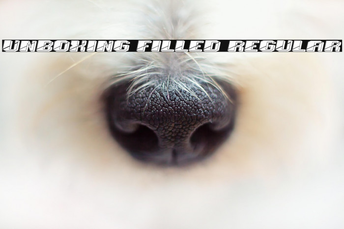 Unboxing Filled Regular Example 1