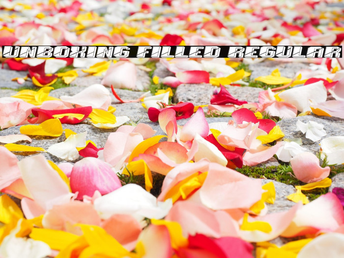 Unboxing Filled Regular Example 2