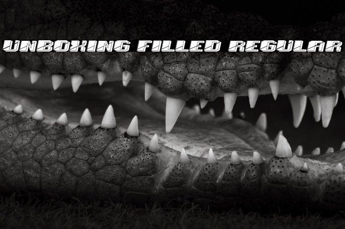 Unboxing Filled Regular Example 3