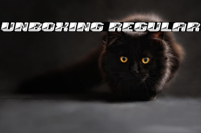 Unboxing Regular Example 2