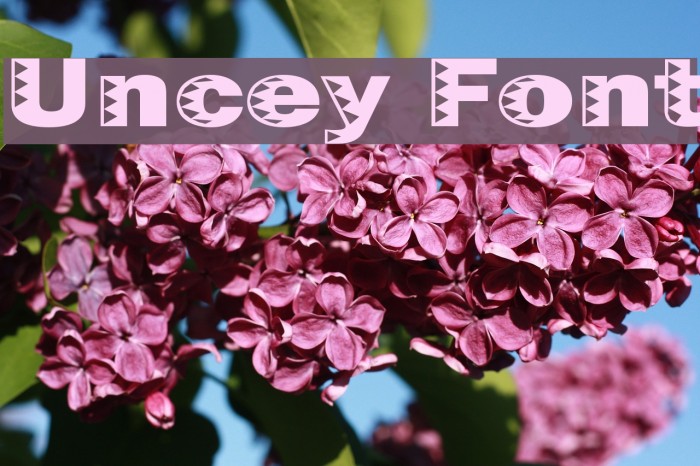 Uncey Font examples