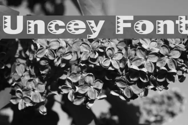 Uncey Fonte examples