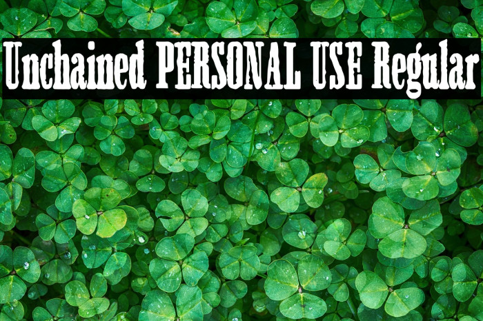 Unchained PERSONAL USE Regular Example 3