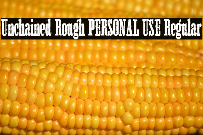 Unchained Rough PERSONAL USE Regular Example 1